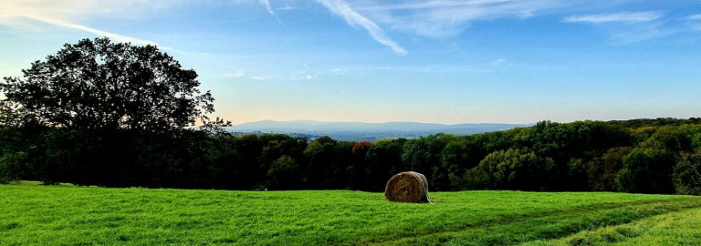 Herbstlandschaft