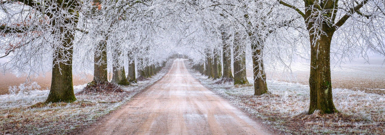 Winterweg